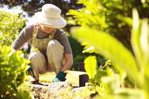 Garden for positive joint health habits