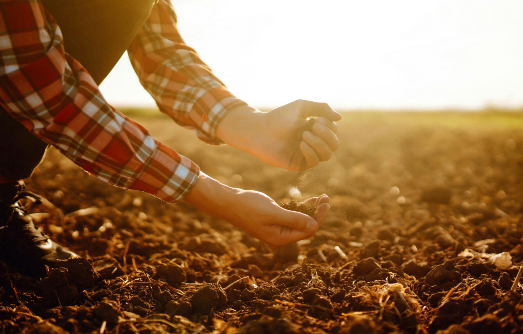 Farmer