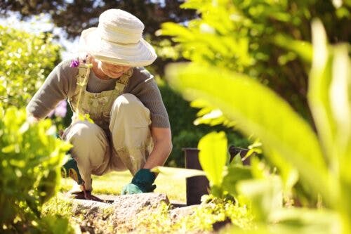 Elderly woman is tending to her garden