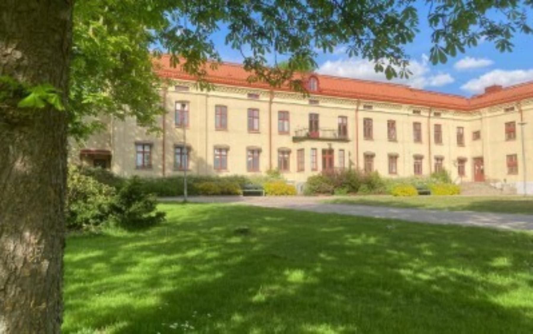 Specialistläkarna