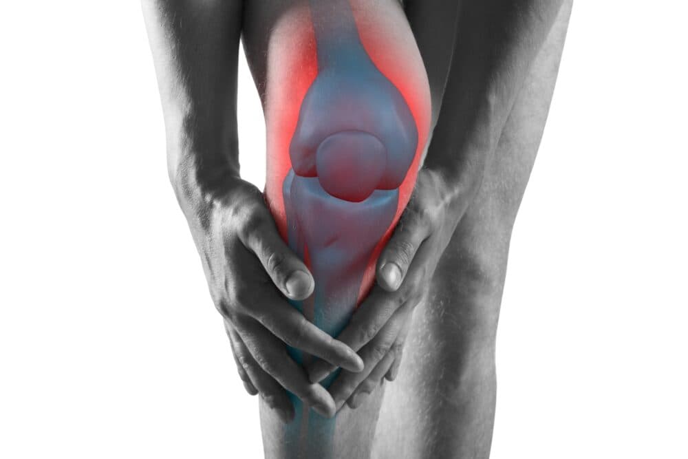 Adobe Stock 294175084