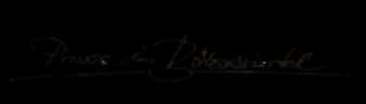 Praxis im Bötzowviertel Logo