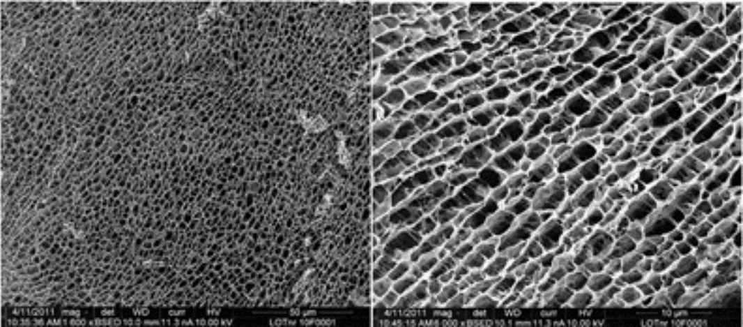 Resim kriyo-dondurulmuş ve kırılmış poliakrilamid hidrojel