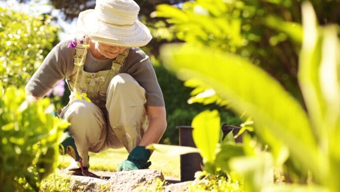 elderly woman is tending to her garden