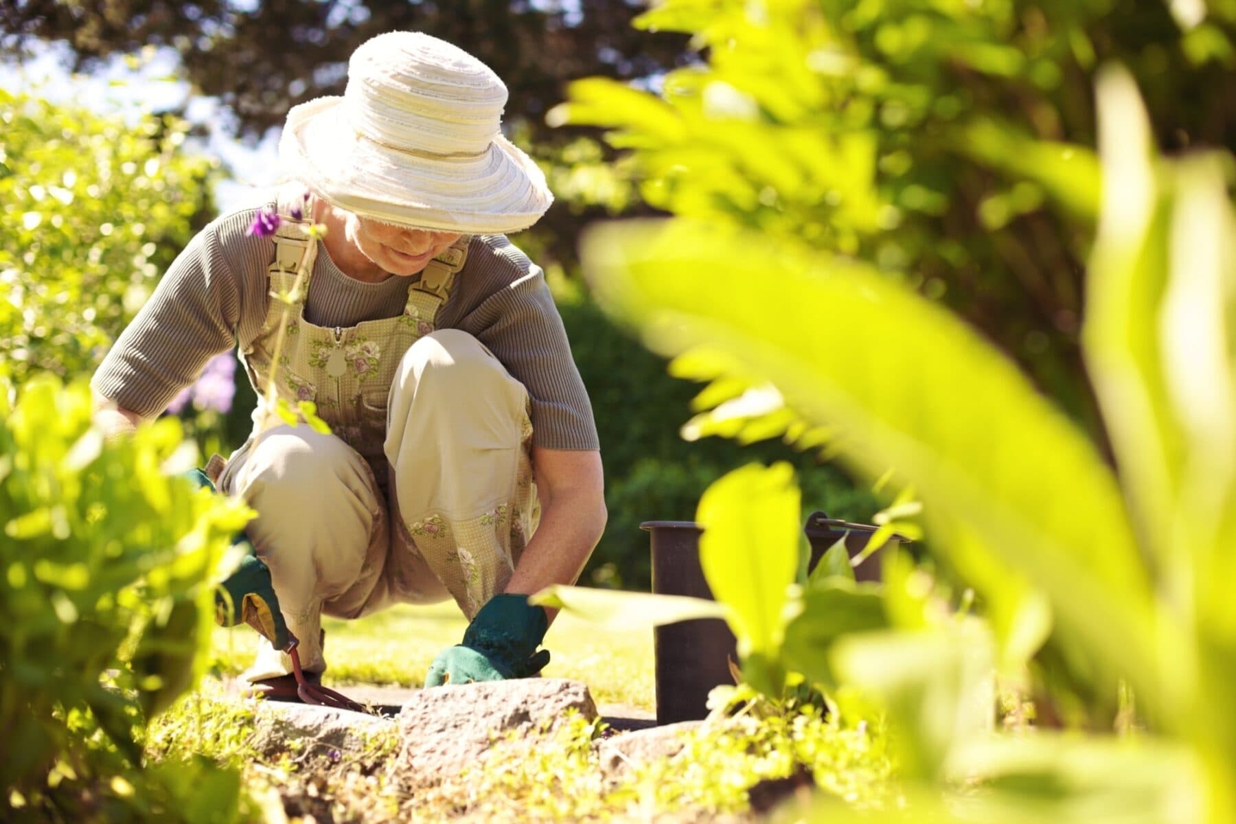 Cultivating positive joint health habits - How to garden without the ...